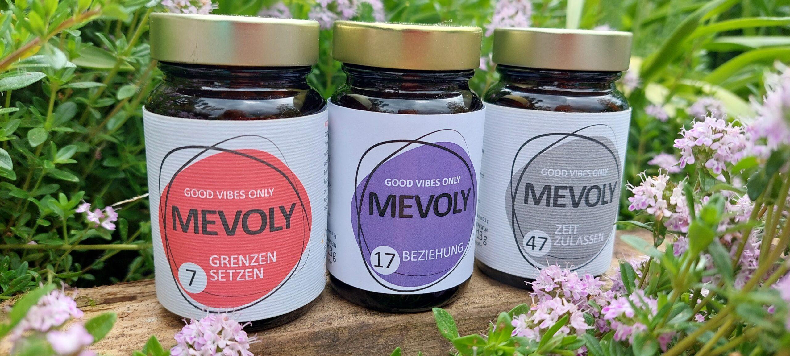 MEVOLY M-BOX 7-17-47 | HARMONIE-BOX