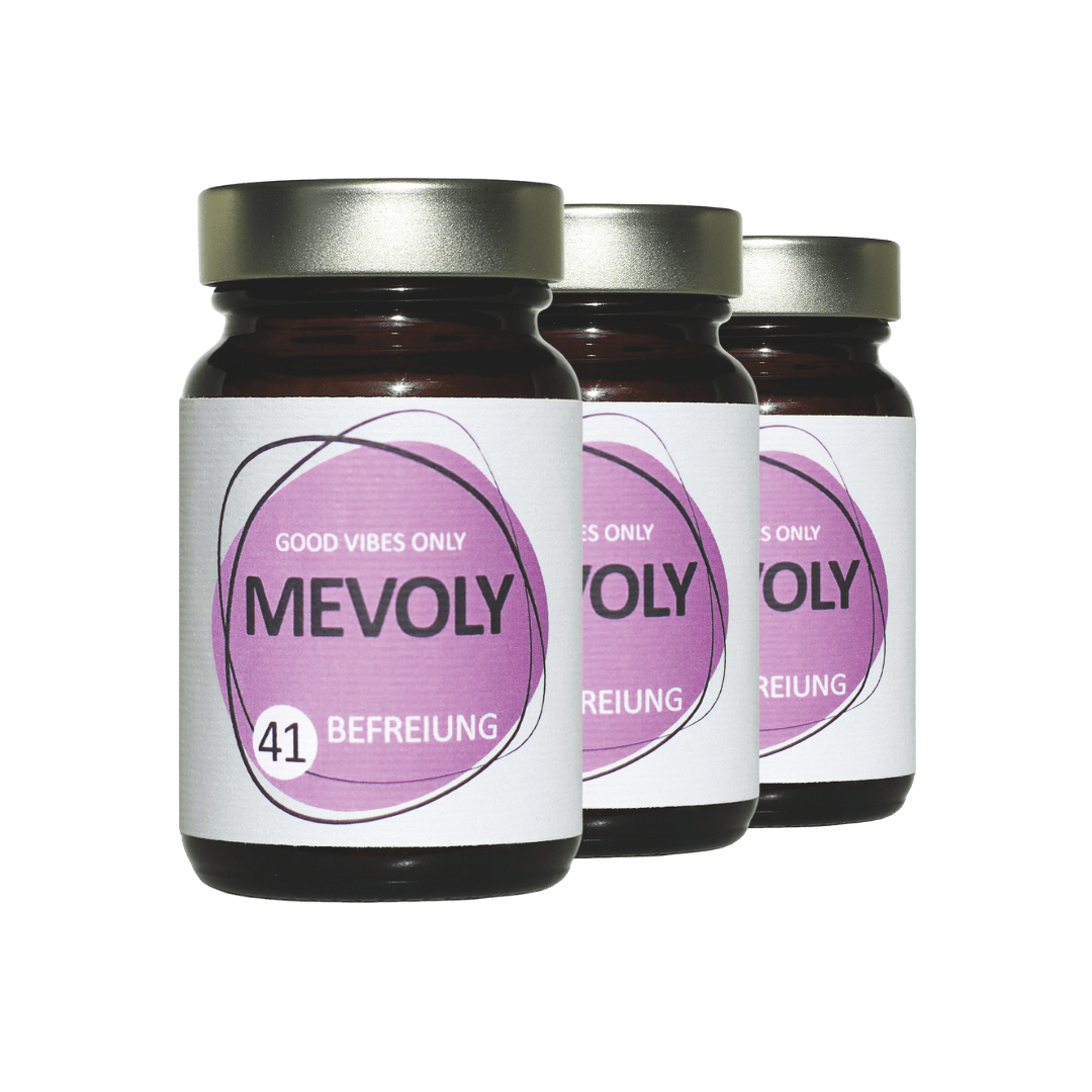 MEVOLY no° 41 BEFREIUNG BOX