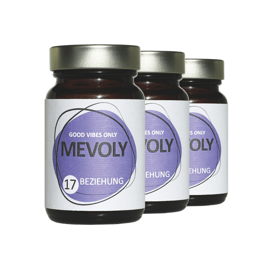 MEVOLY no° 17 BEZIEHUNG BOX