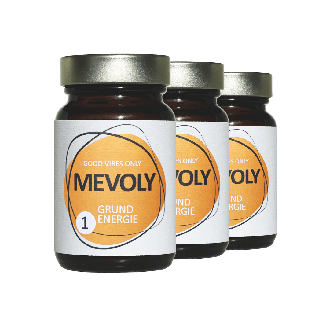 MEVOLY no° 1 GRUND ENERGIE BOX