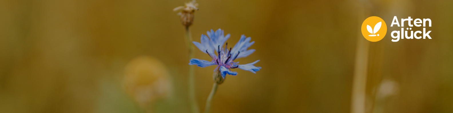 Artenglück Shop