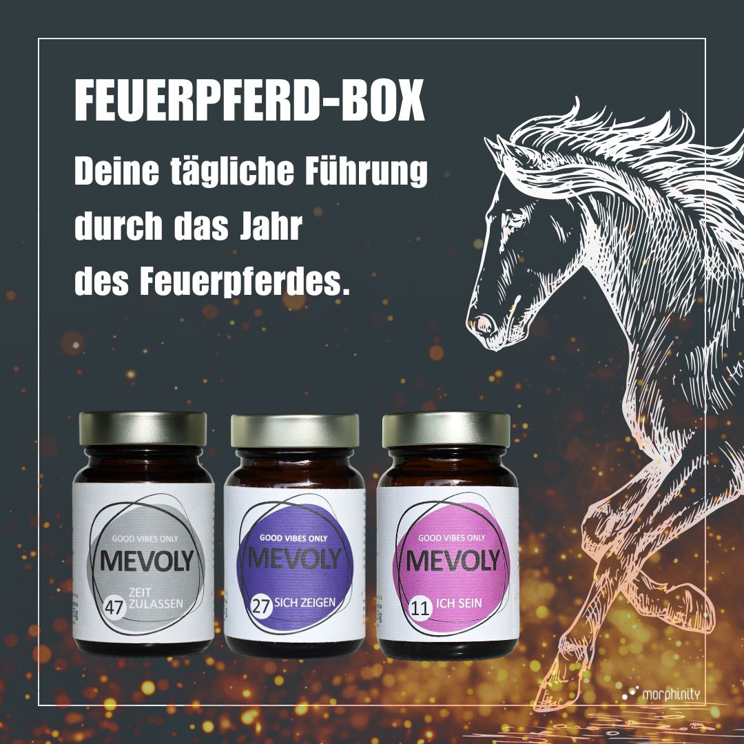 FEUERPFERD-BOX