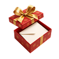 holiday_bonuses