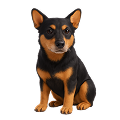 pet_friendly_office
