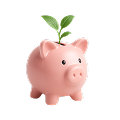retirement_programs