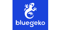 Bluegeko — Lessmess