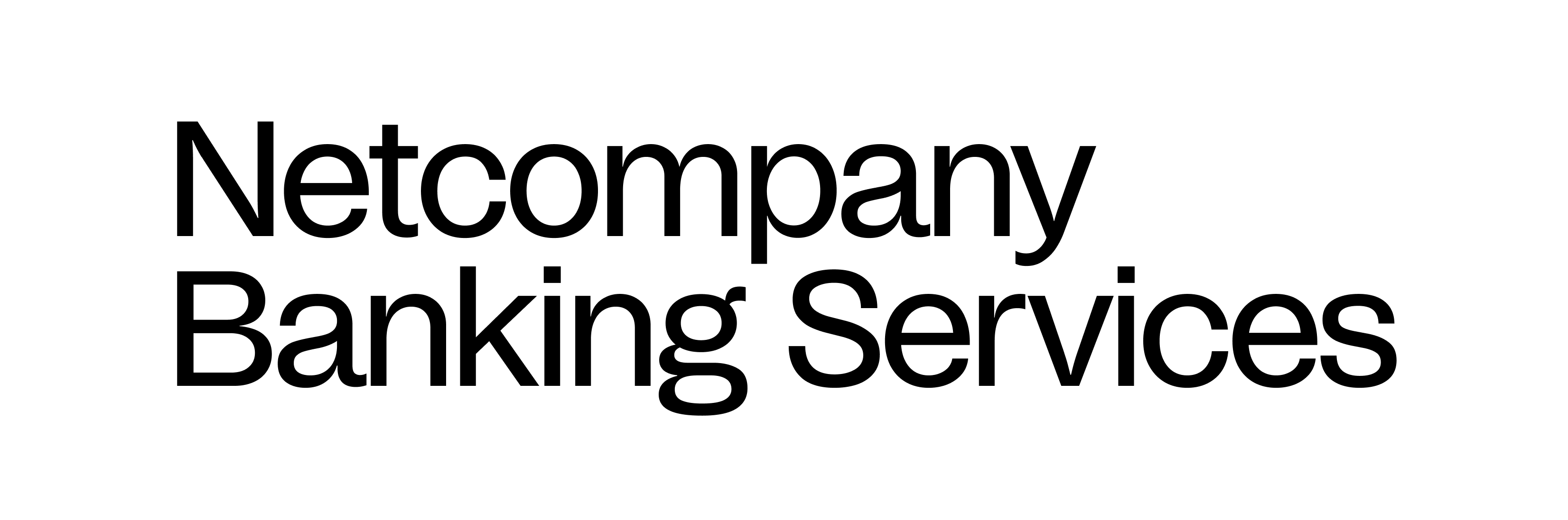 Logo Netcompany Banking Services