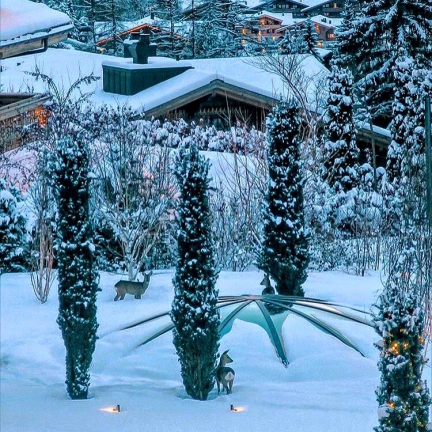bambi, animals in the snow, winter sports and skincare