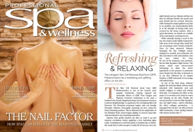 Professional Spa & Wellness