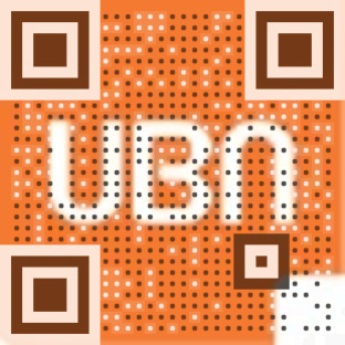 Visual QR Code