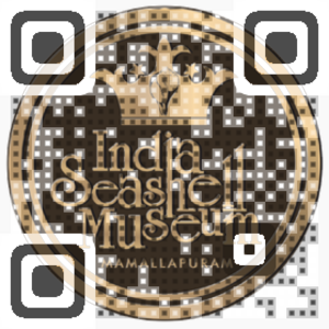 India Seashell Museum QR Code