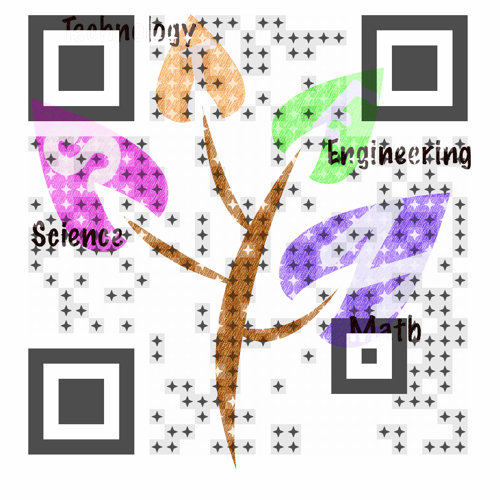 Visual QR Code