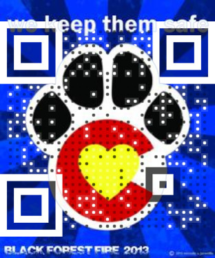 Visual QR Code