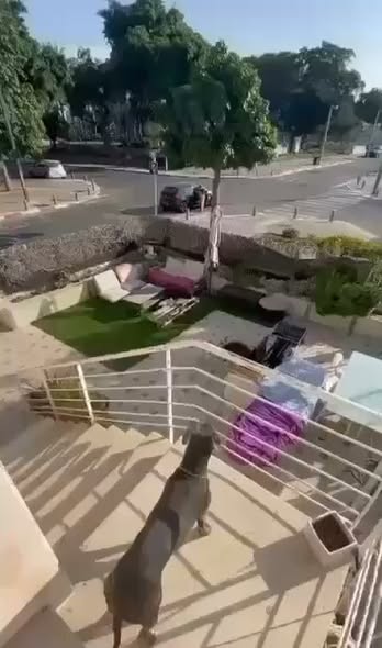 צהלון, תל אביב יפו