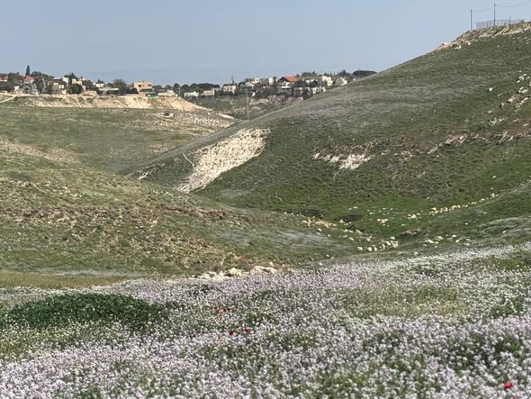 נופי פרת, ירושלים