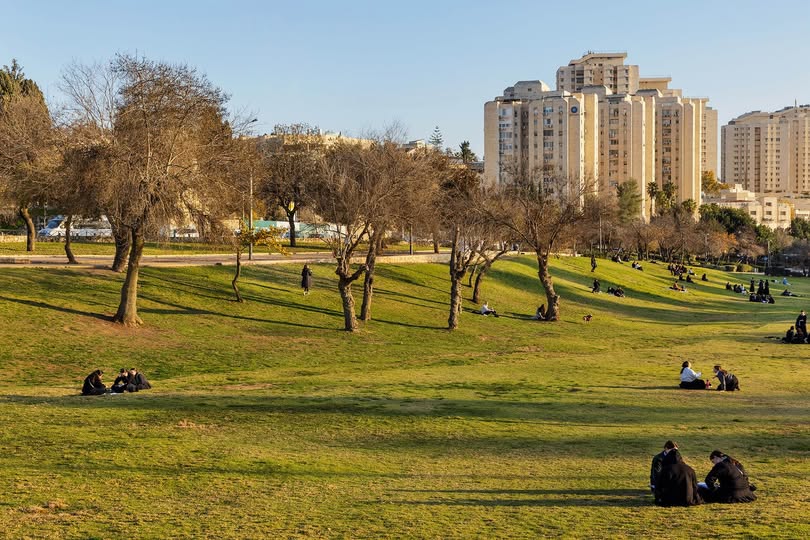 רחוב שבת צבי 41, נחלאות, תל אביב יפו