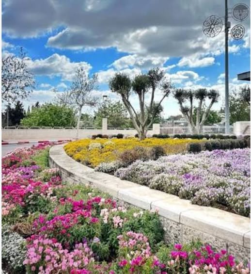 אברהם לינקולן, טלביה, ירושלים