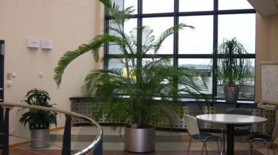 Offices Conrada 51, Kraków - offices for rent