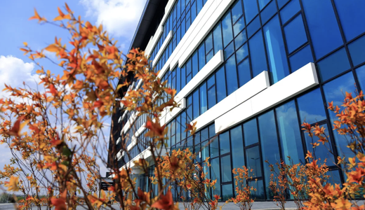 Offices for rent in Offices KOGA #1