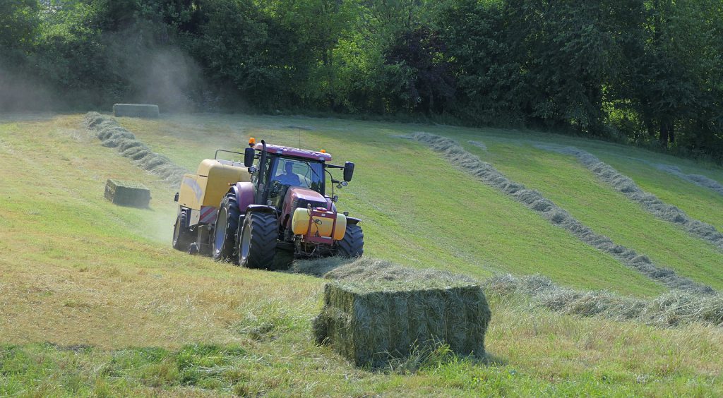 Summer 2023 Shaping Up To Be One Of Worst On Record For Irish Farming - Vimarsana News
