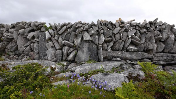 Cork Awarded Over €520,000 By Community Monuments Fund - Vimarsana News