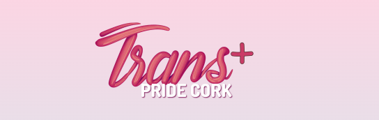Trans Pride march is taking place in the city this afternoon - Vimarsana News