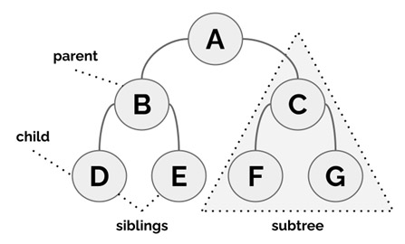 dowden_typescript_14