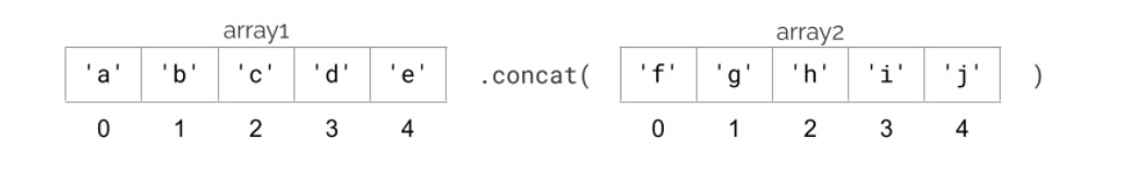 dowden_typescript_8