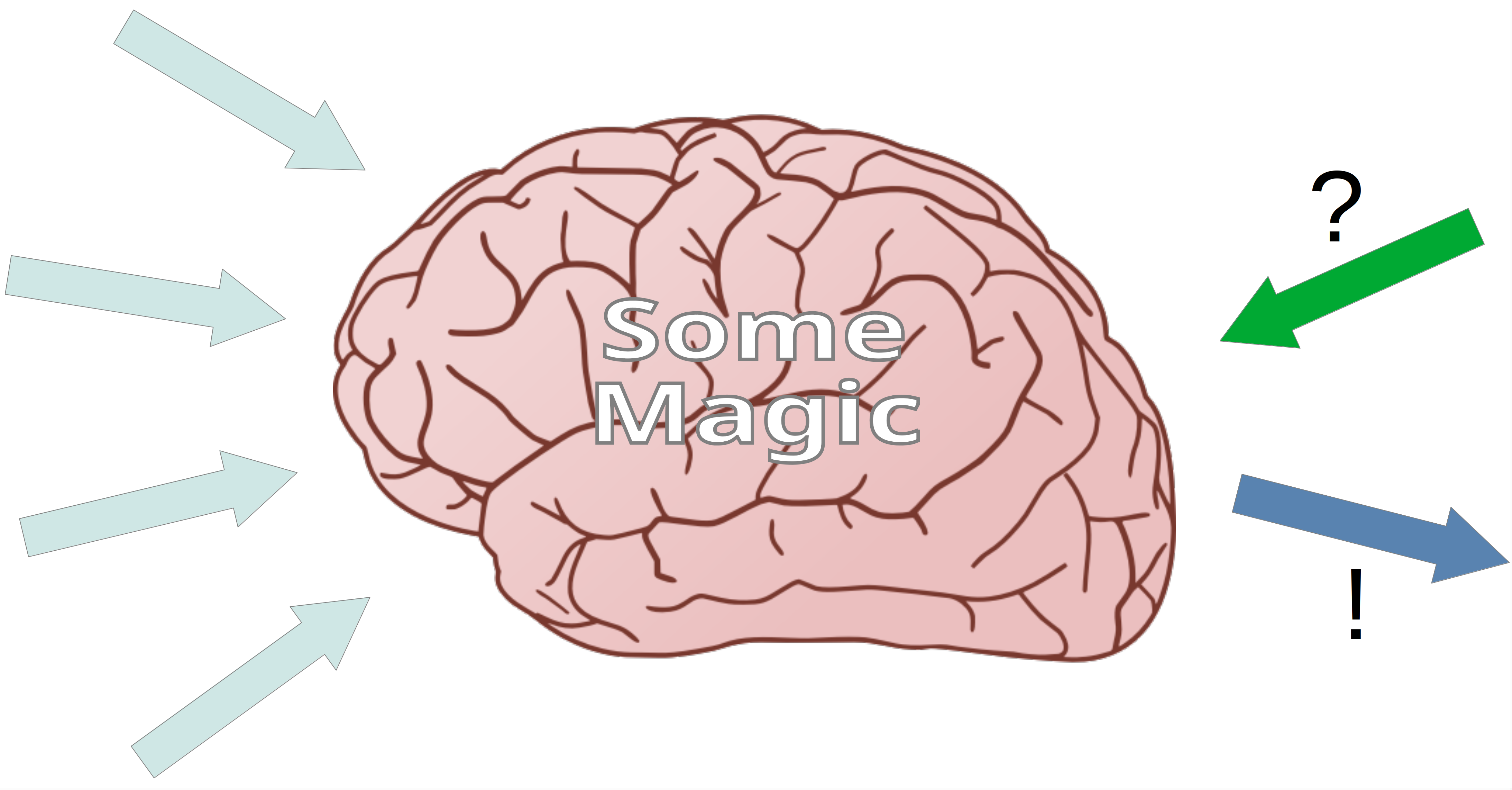 Fig. 1: Native view of AI models