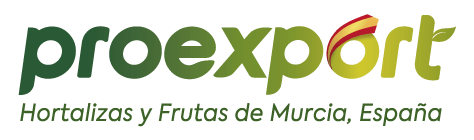 logo (2)