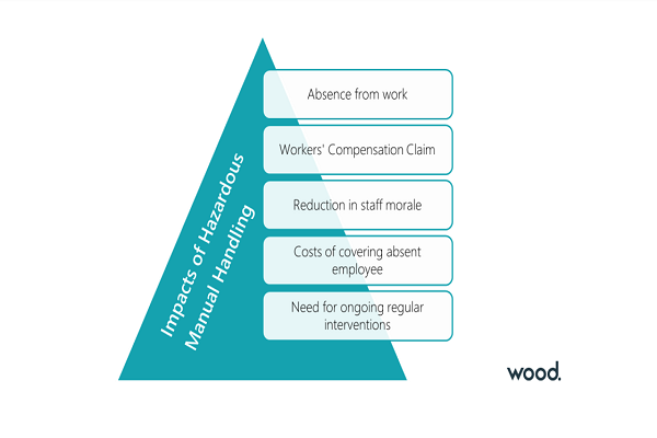 Manual Handling for Managers by Wood.