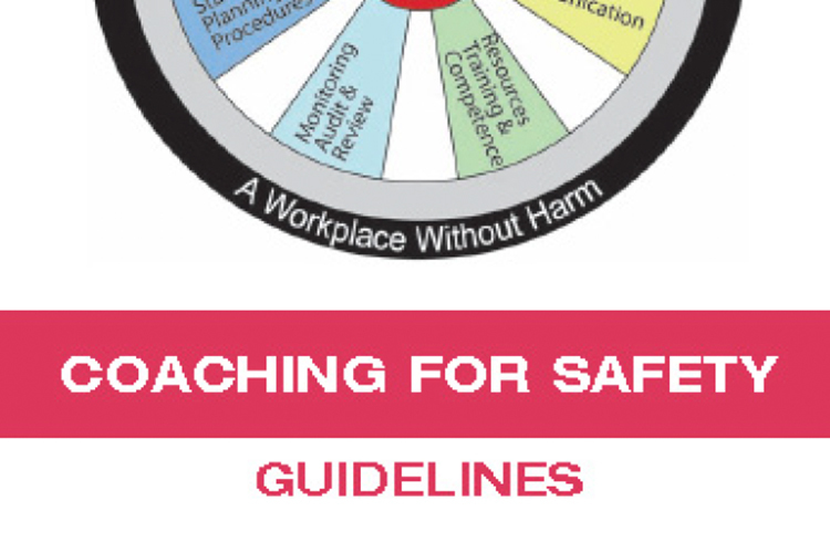 Step Change in Safety Coaching for Safety Guidelines