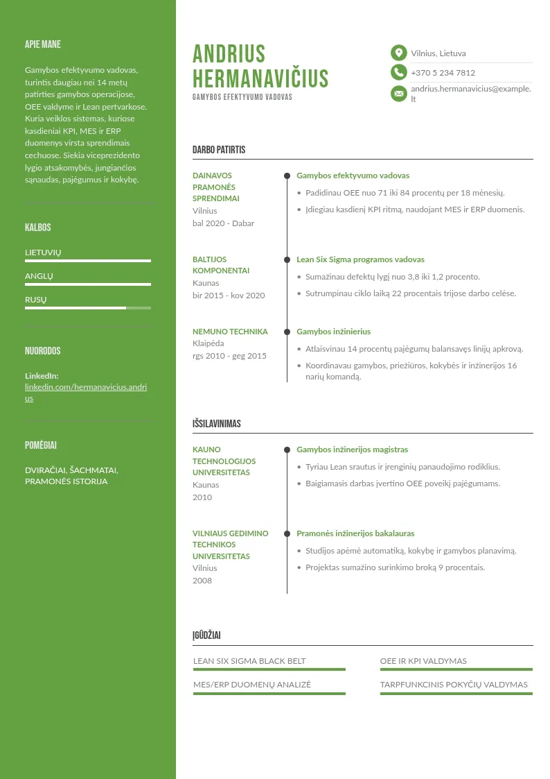 Gamybos efektyvumo CV