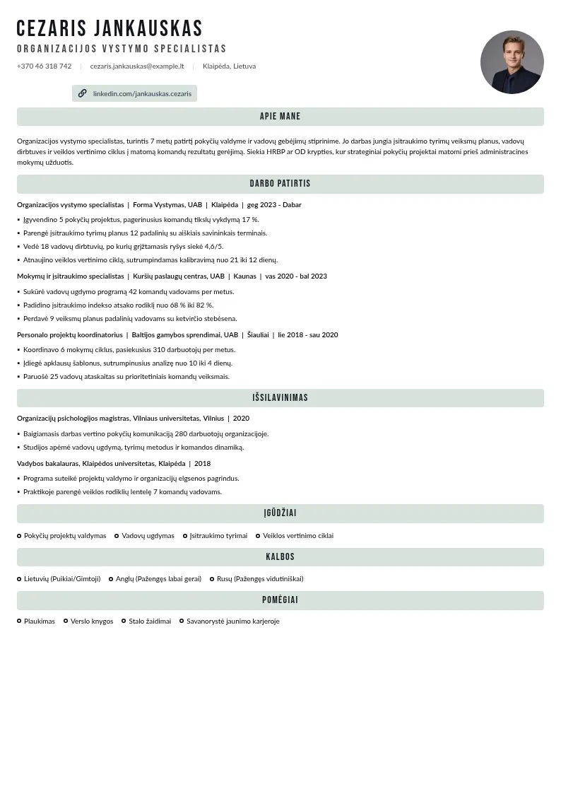 Organizacijos vystymo fokusas