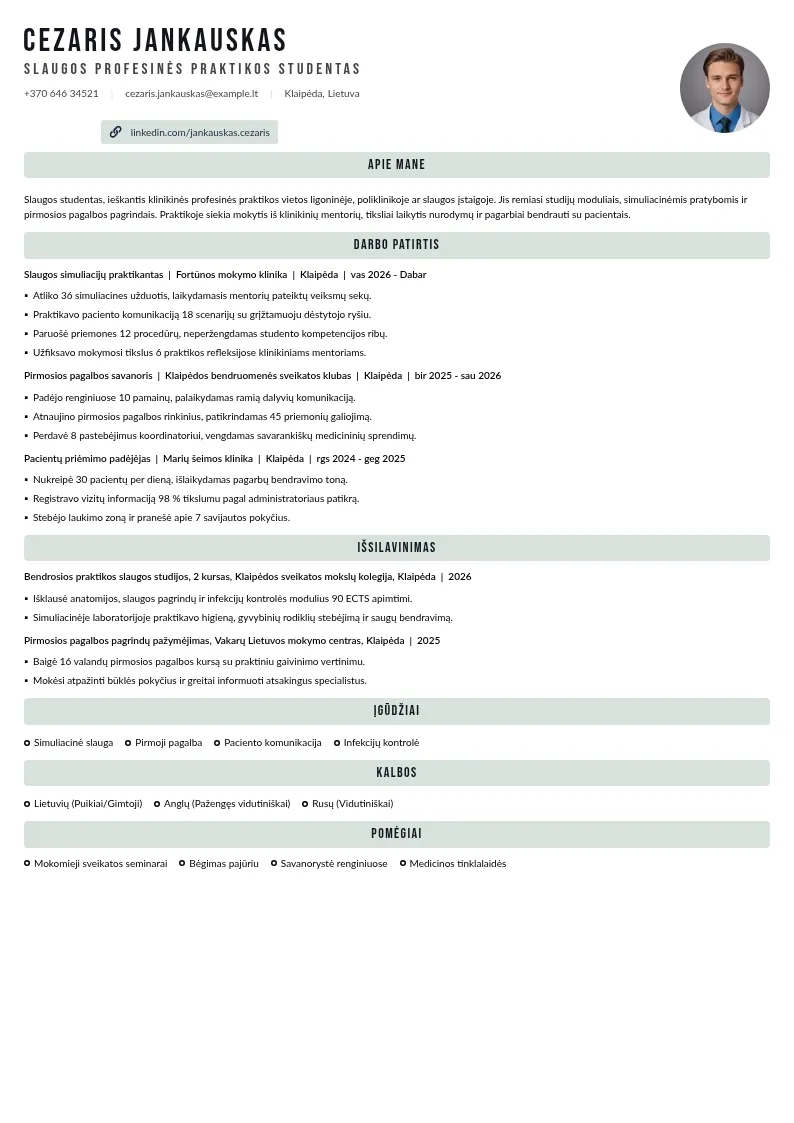 Profesinės praktikos CV
