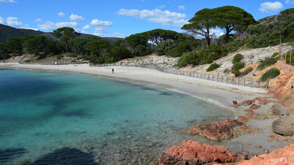 Aguas Blancas