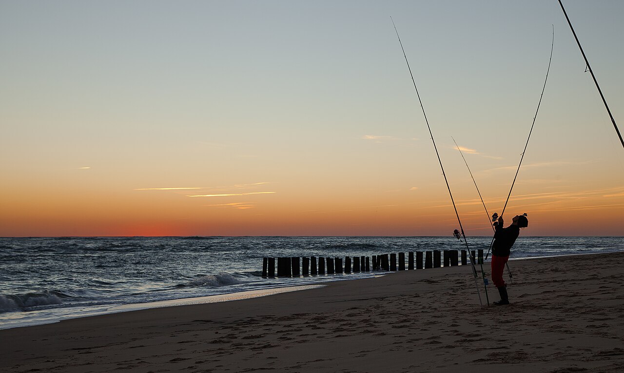 Cap Ferret