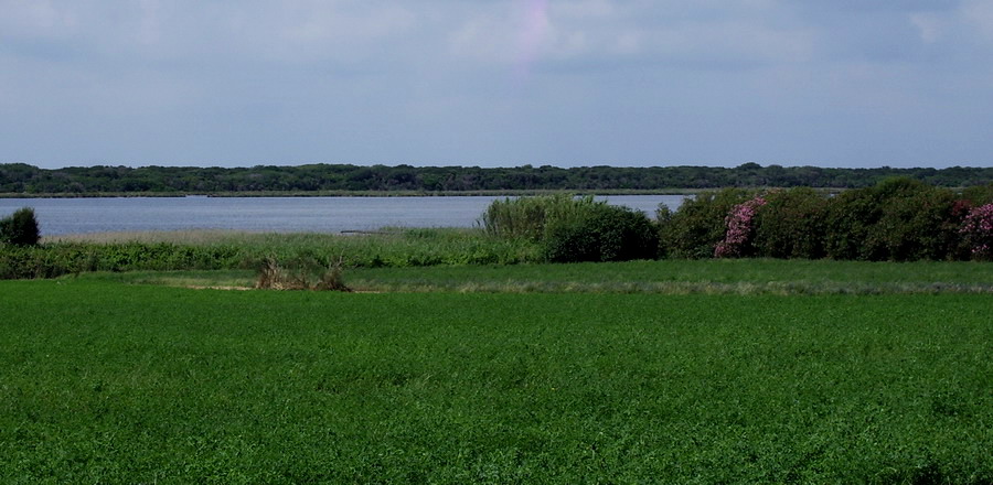 Capalbio