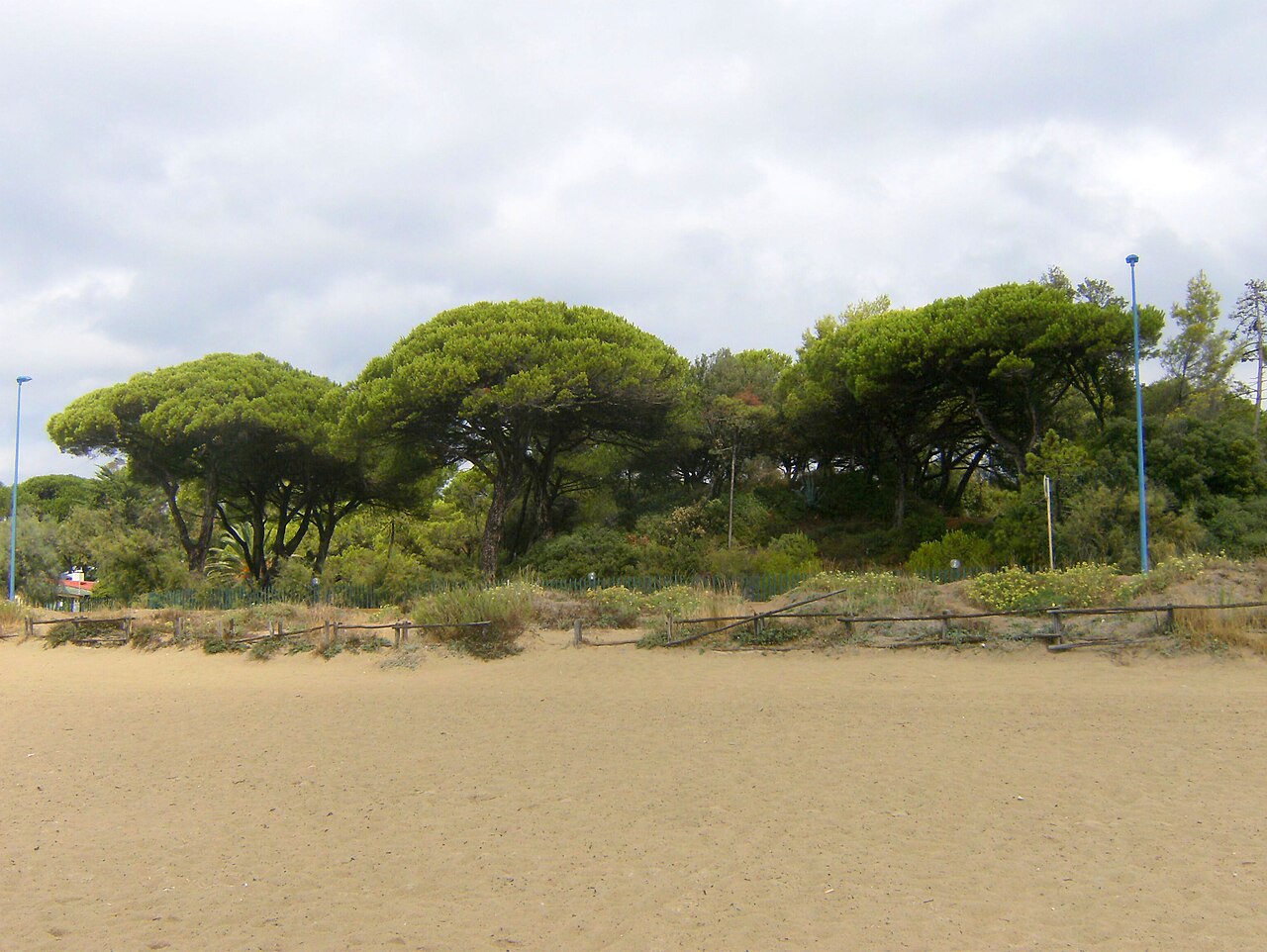 Follonica
