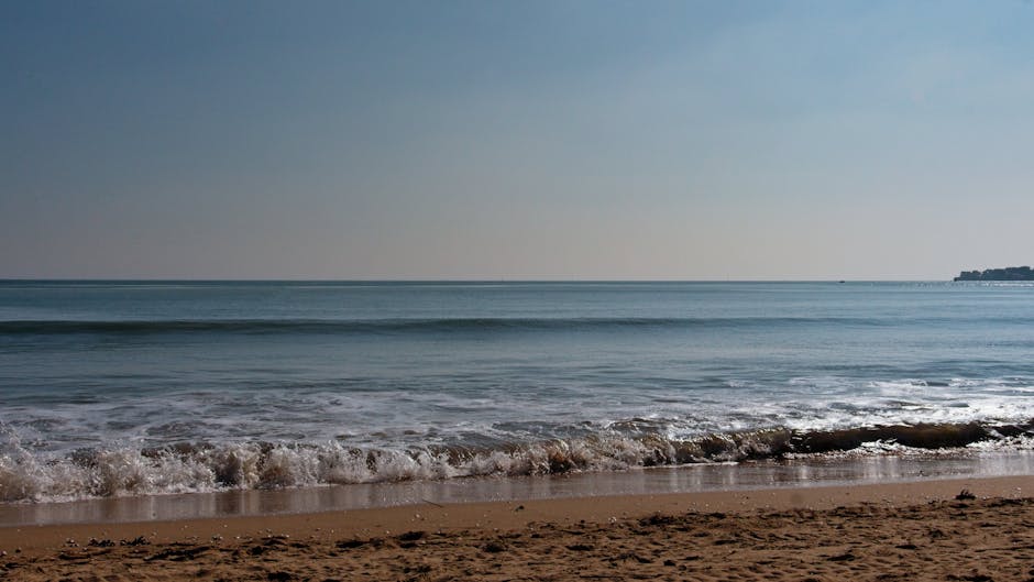 La Patacona