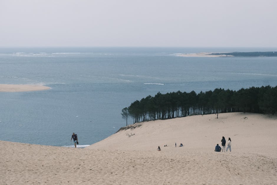 Les Dunes