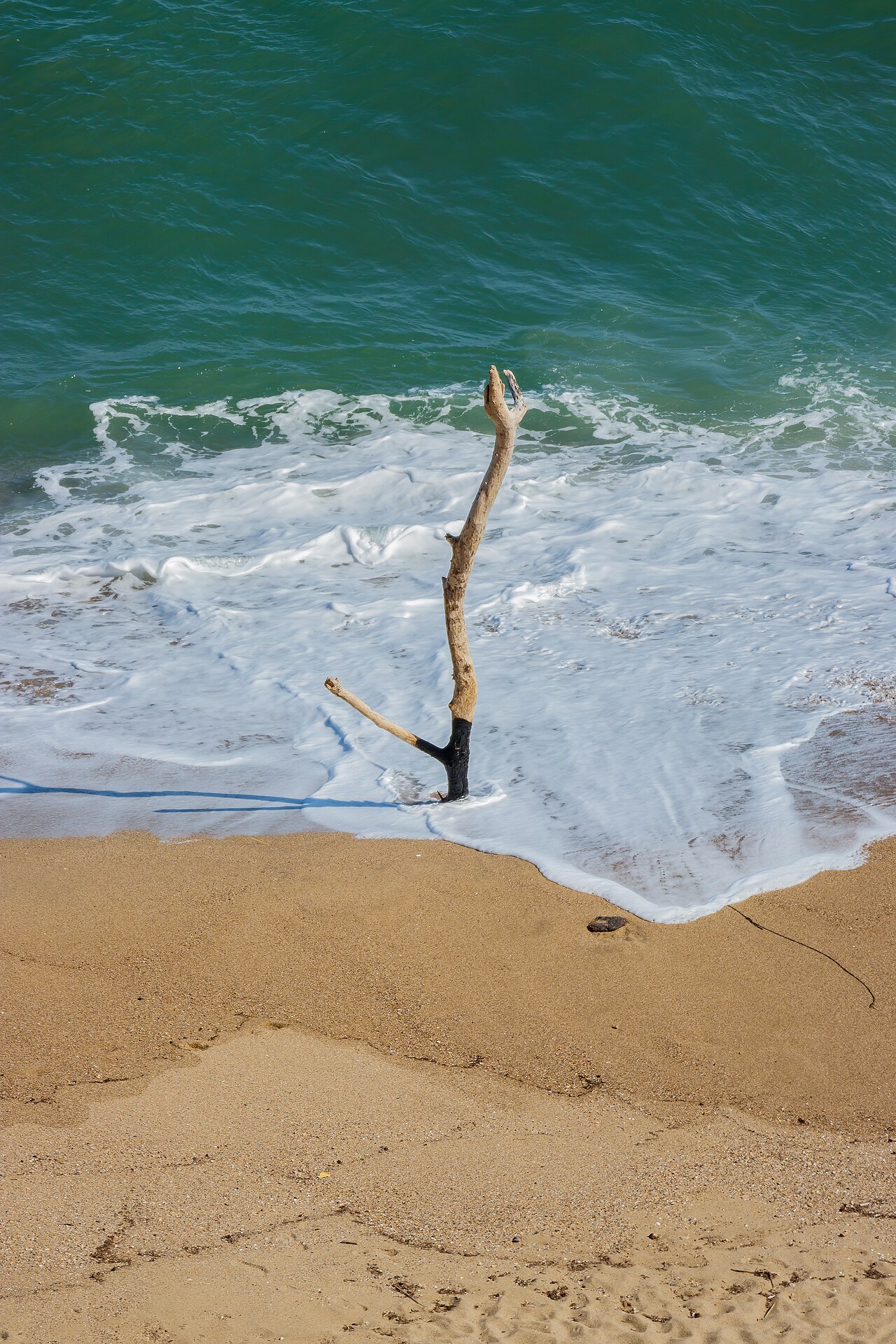 Leucate Plage