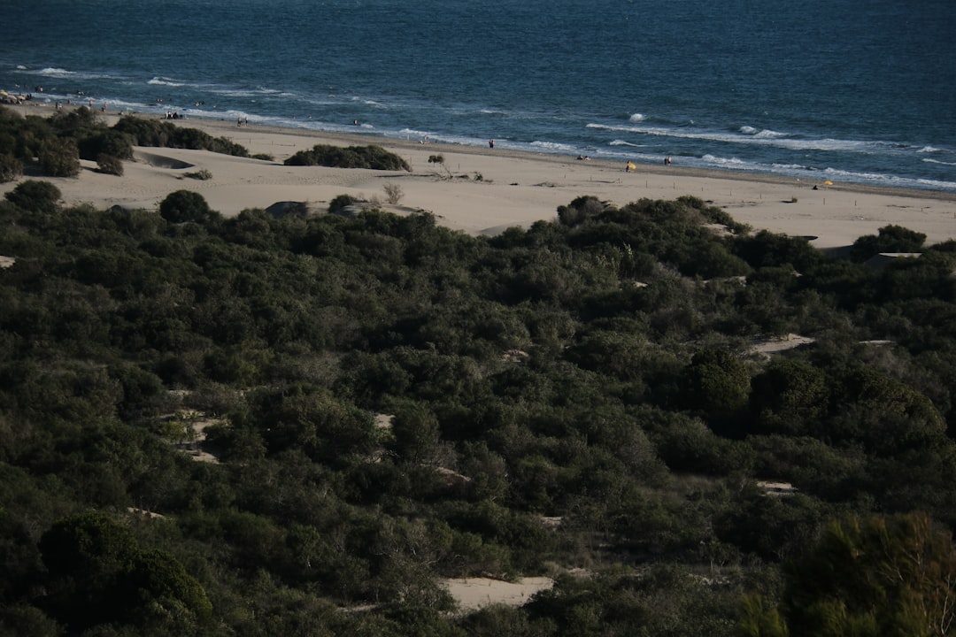 Liencres