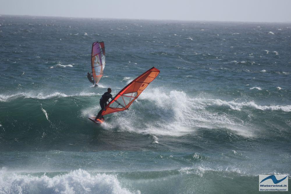 Platboom — Cape Town