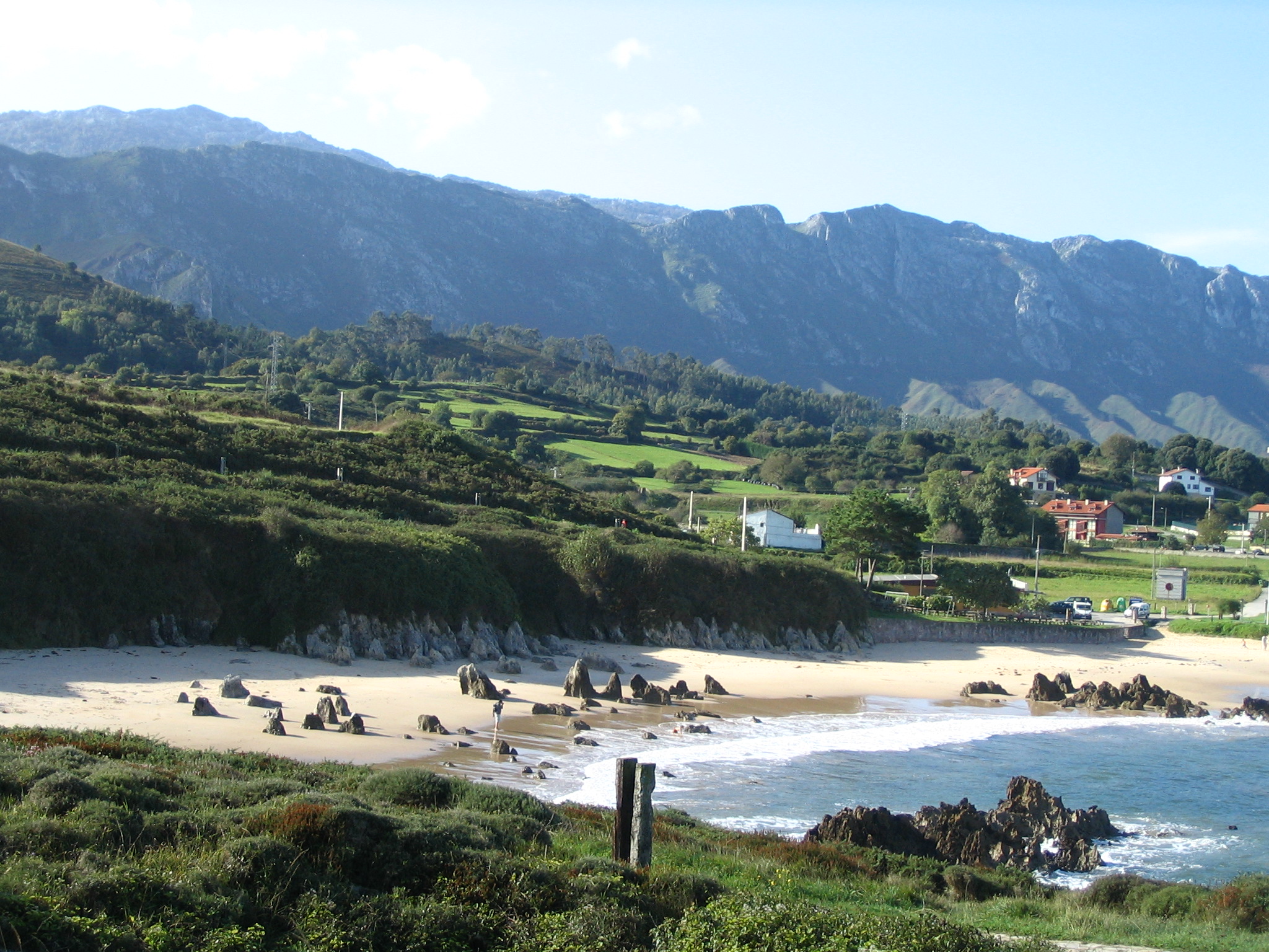 Toró