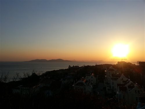 Jodi Tong
