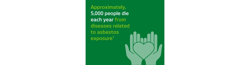 HSE Asbestos Stat