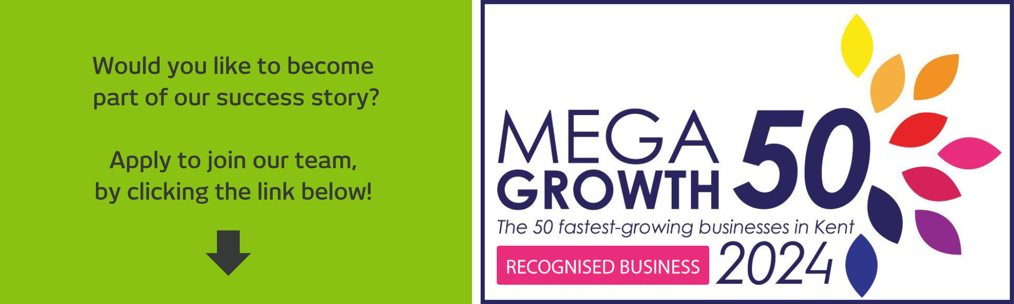 RVT Group Mega Growth 50