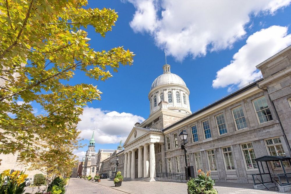 Activités à Montréal et alentours : guide complet 2026
