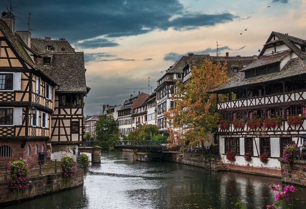 Activités à Strasbourg et ses alentours : guide complet 2026